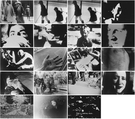 The Man Who Left His Will on Film: Two Essays on Mike Hoolboom