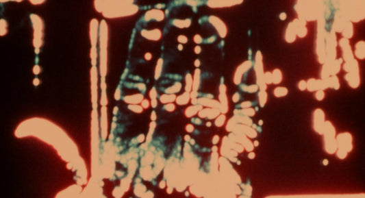 The Evolution of the Pacific Cinemathèque